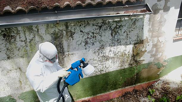 Trusted Mold Removal service in Bedford, PA - Cheap Mold Removal